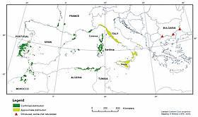 cork_map_large_235132