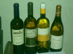 I quattro albarino