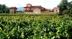 I vigneti del Cavenago