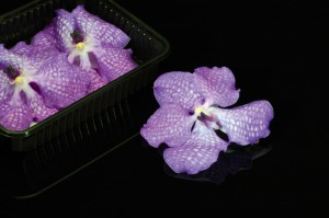 Vananco Leaves Koppert Cress