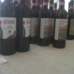 Vini valtellinesi uno