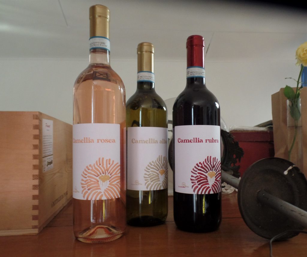 Le tre camelie: la Alba, la Rosea e la Rubra sono tre vini commercializzati dall'Azienda Agricola La Camelia d'Oro – Orsola Poggi di Oggebbio, sul Lago Maggiore. Sul Maggiore fanno fiori e piante, ortaggi e frutti; sul Lago di Garda, invece, grazie ad un terreno arrivato per asse ereditario, fanno tre vini lacustri che vendono negli stessi canali utilizzati per vendere frutta, verdura e fiori. 