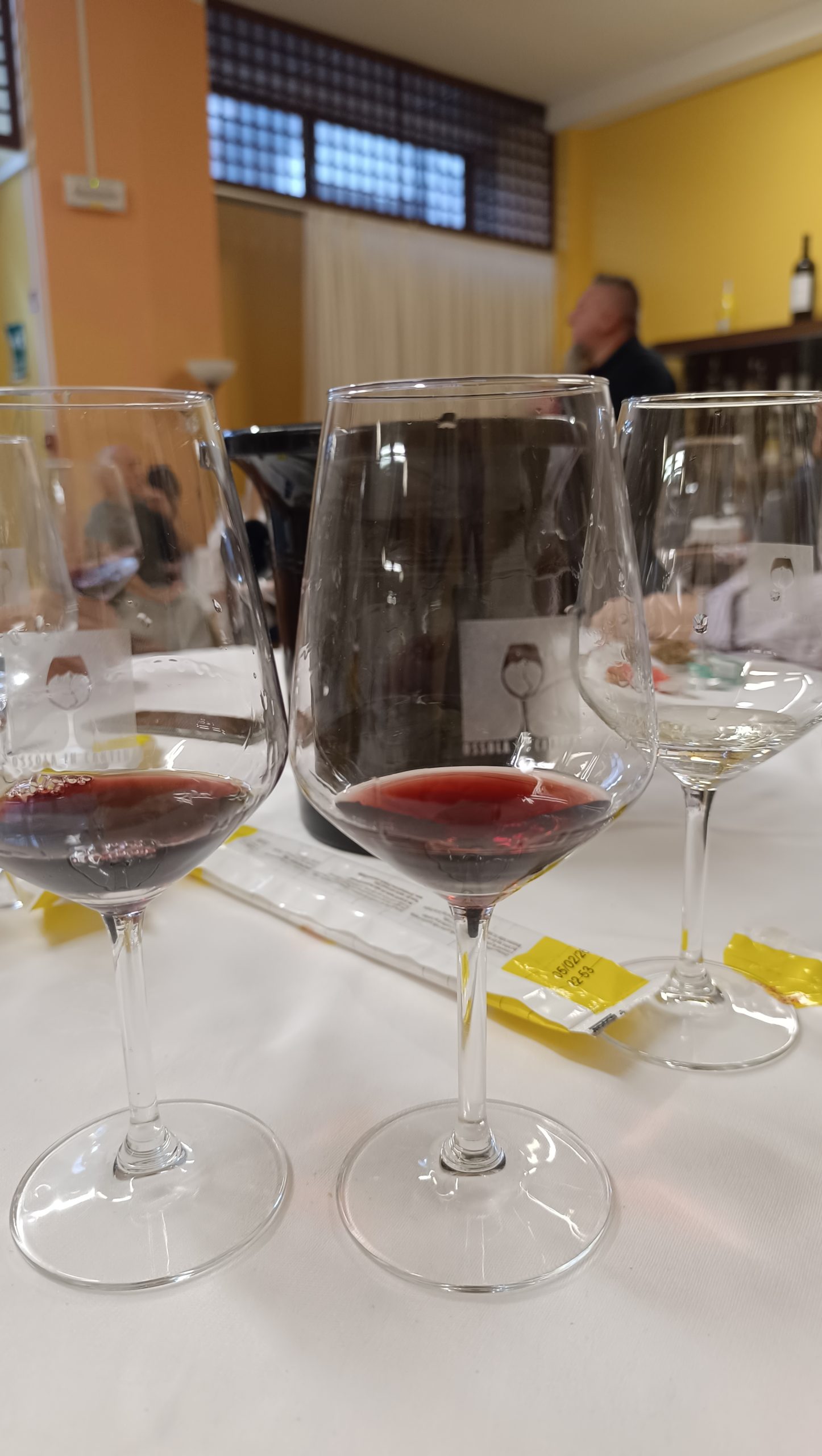 Degustazione di vini ossolani e svizzeri – Domodossola, Rosmini