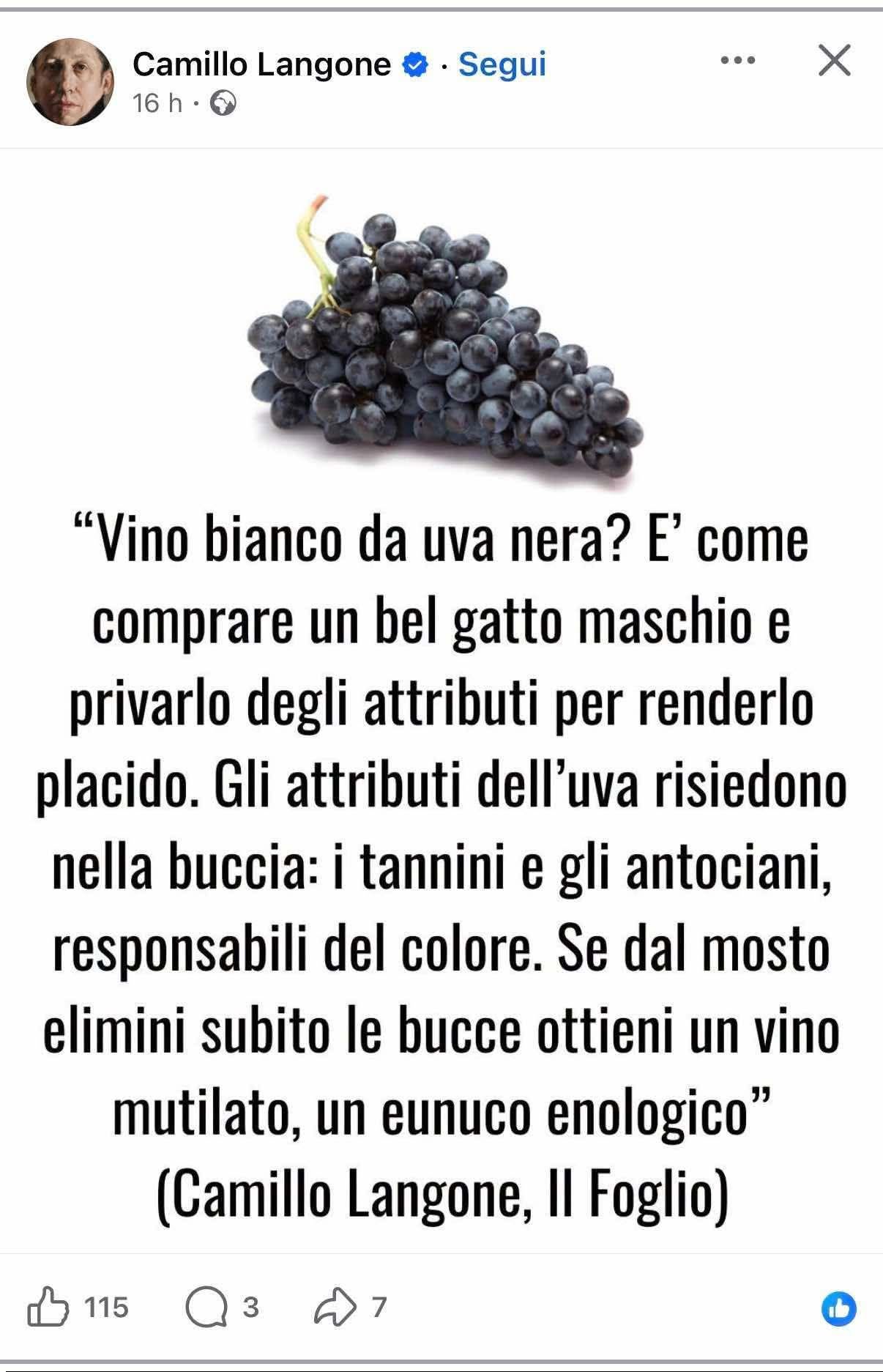 Champagne, testicoli e social: un cocktail esplosivo